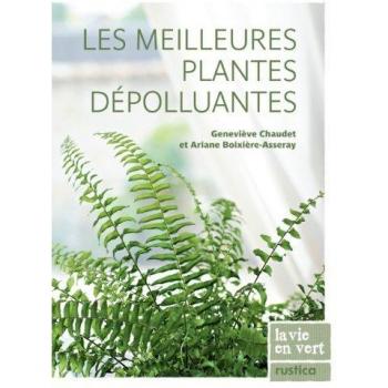 Les meilleures plantes dépolluantes