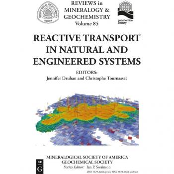 Reactive Transport in Natural and Engineered Systems