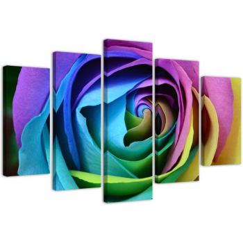 Multicolor Rose Wall Art