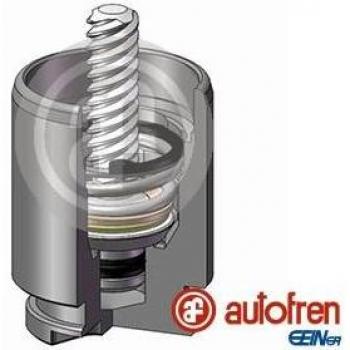 Zuiger voor remklauw AUTOFREN SEINSA D025267K, achter