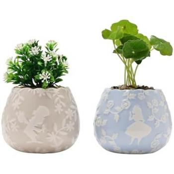 Paysage Enchanté Alice – Deux Mini-Plantsures et Plantes Faux