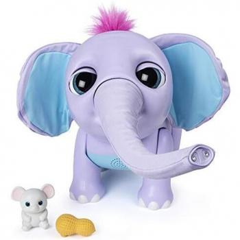 Juno, la mascota elefante con personalidad
