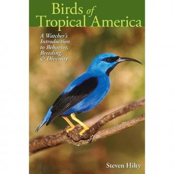 Birds of Tropical America, The Corrie Herring Hooks Series, 62