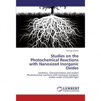 Studies on the Photochemical Reactions with Nanosized Inorganic Oxides
