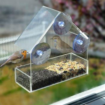 Hotel Table Bird Feeder