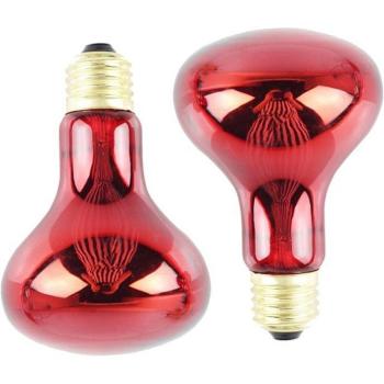 Ampoule de chaleur 100W