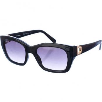 Salvatore Ferragamo Women's Oval Acetate Sunglasses