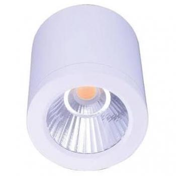 CCT GESS soffitto lampada COB 25W IP54