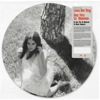 Oui Vers le Ciel 7 Disques Photographiques Vinyle