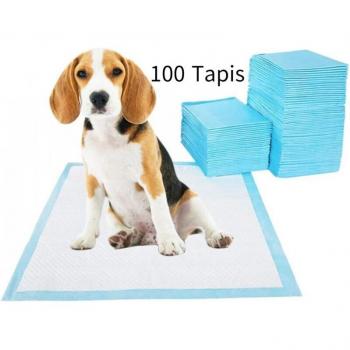 CanineCare 100-Pack Puppy Pads – 33x45cm, Super Absorbency, No‑Odor Formula