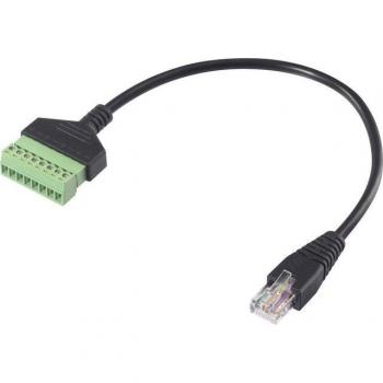 30‑cm RJ45 8P8C Plug with Clip Terminal – Black – Renkforce