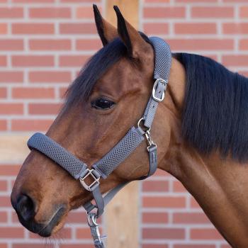 Busse Halfter 3D Air Effect Pro für Ponys
