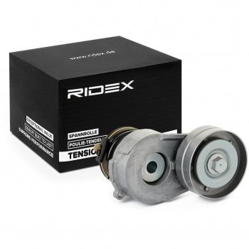 Ridex 312D0044 Galoppino Poly‑V Guidacinghia