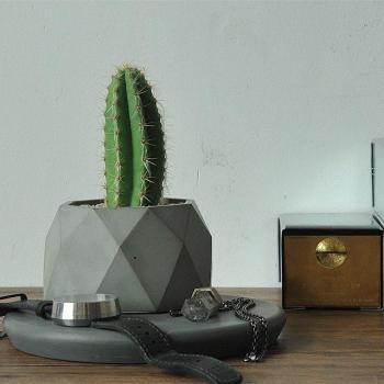 Succulent Planter Mold