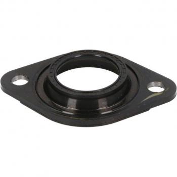 Joint de couvercle de soupape ENGITECH ENT250389, Bague d'étanchéité OPEL,HONDA ENT250389 12342PLZD10