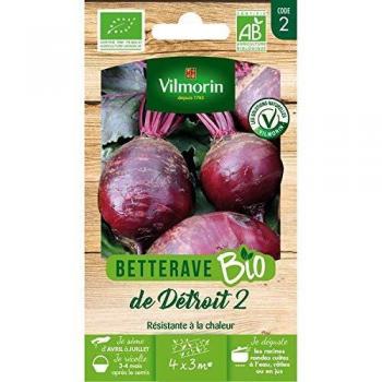 Betterave Detroit 2 – Bio (Vilmorin)
