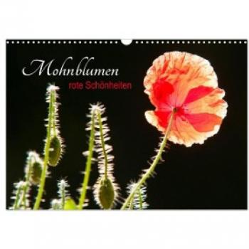 Mohnblumen Wandkalender 2024 DIN A3 quer
