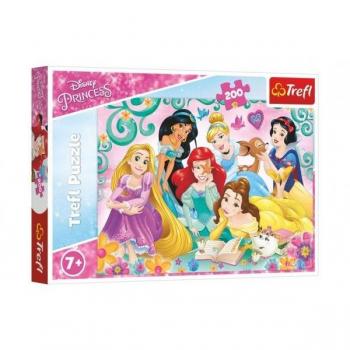 Puzzle Disney Princess