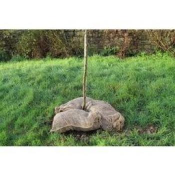 Sacchi Compostabili Haxnicks, 3 pz