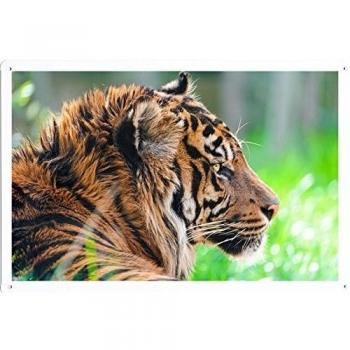 DecoPóster Tigre 20x30cm