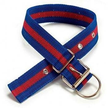Collar de Nylon Mascow (0.5 x 51 x 4 cm)
