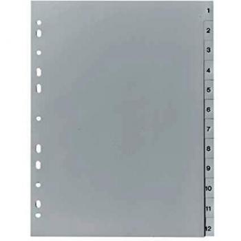 Falken Ringbuch 12-Blatt Register, volles A4-Format, grau