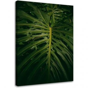 Décoration murale Feuilles de la nature 40x60