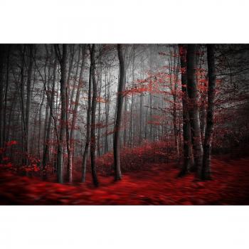 Papermoon Wandtapete »Photo-Art SAMANTA KRIVEC, BLUTIGER FORREST«