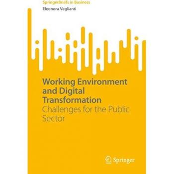 Working Environment and Digital Transformation: Challenges for the Public Sector (SpringerBriefs in Business)