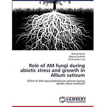 Role of AM fungi during abiotic stress and growth in Allium sativum