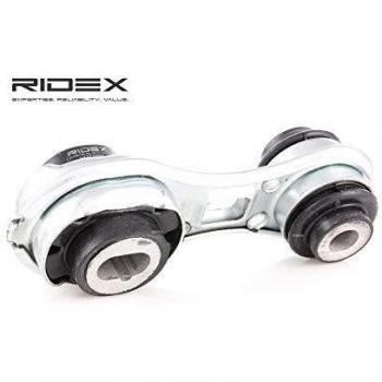 RIDEX 247E0069 Soporte de motor trasero