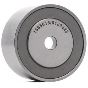 Tendeur de Courroie d'Accessoire RIDEX 310T0092