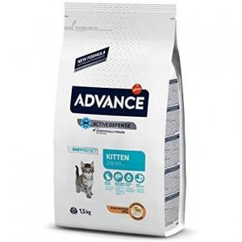 Advance Kitten pienso para gatitos