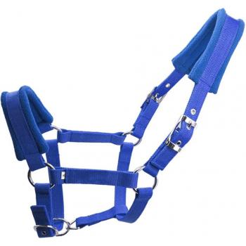 Cheval Licou Double Couche Équipement