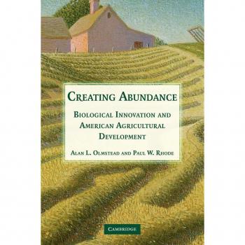 Creating Abundance