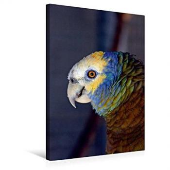 CALVENDO Premium Textil-Leinwand 50 x 75 cm Hoch-Format Königsamazone
