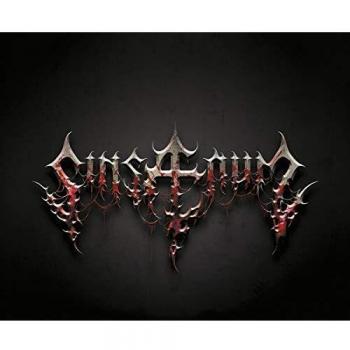 Vinilo Sinsaenum Premium