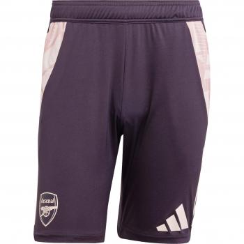 Short de sport Arsenal Tiro 2024/25