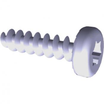 Vis de porte AEG, kit d'adaptation, 3.9x13mm 8086428011