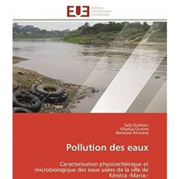 Pollution des eaux: Caracterisation physicochimique et microbiologique des eaux usées de la ville de Kénitra -Maroc-