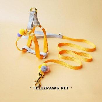 Small Dog Accessories: Leash and Harness for Chihuahua and Yorkshire Terrier