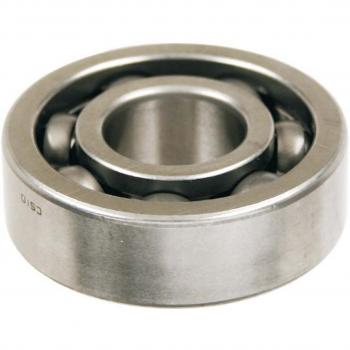 Cuscinetto SKF 6303 TN9 C3 17x47x14