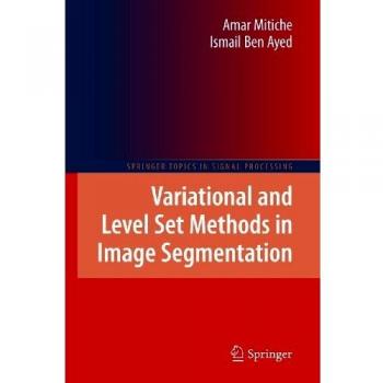 Variational and Level Set Methods in Image Segmentation