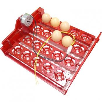 20 Egg Incubator with Voltage Options
