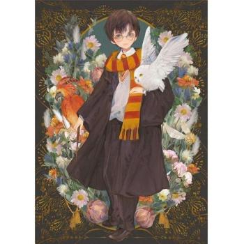 Harry Potter Yume Fantasy Print su Tela Incorniciata 40x60 cm Nero