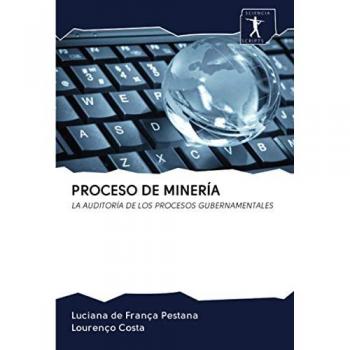 PROCESO DE MINERÍA: LA AUDITORÍA DE LOS PROCESOS GUBERNAMENTALES