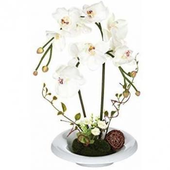 Vaso di Ceramica con Orchidee Artificiali H46cm
