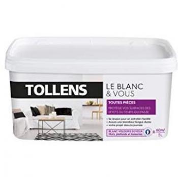 Peinture Vellour Blanche Tollens – Toutes Pièces – 5L