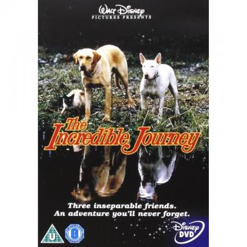 The Incredible Journey