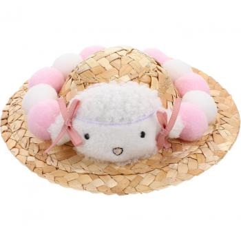 Mexican Style Pet Hat